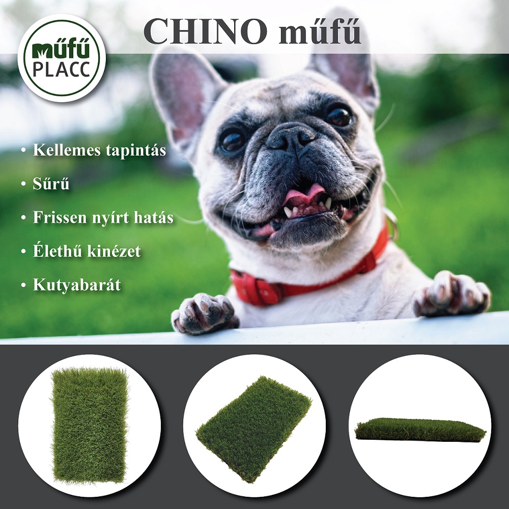 chino mufu kutya 01 1