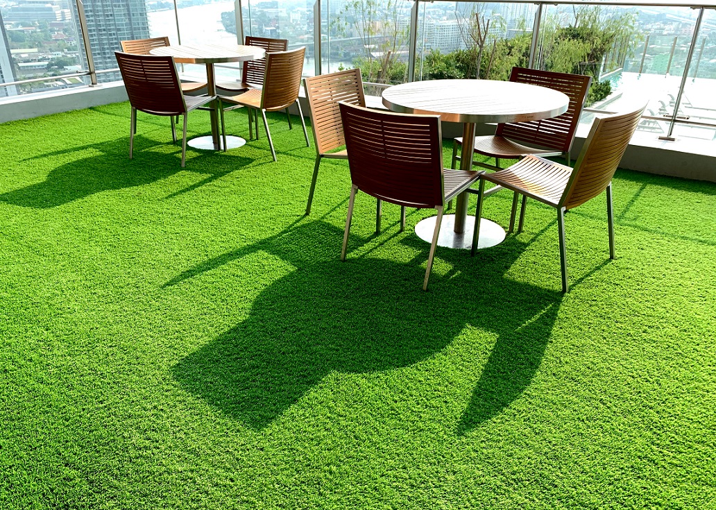 grassland 1