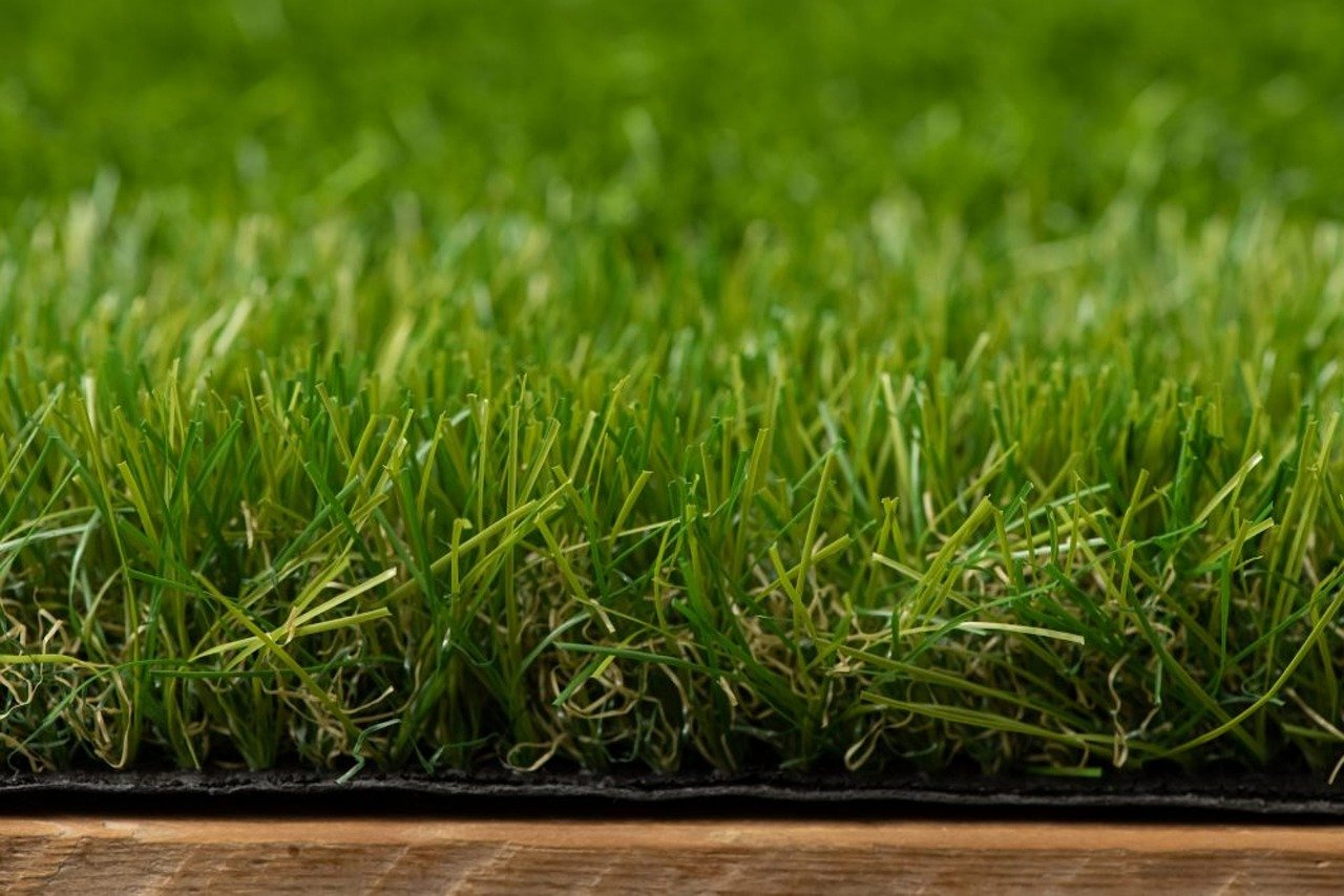 grassland